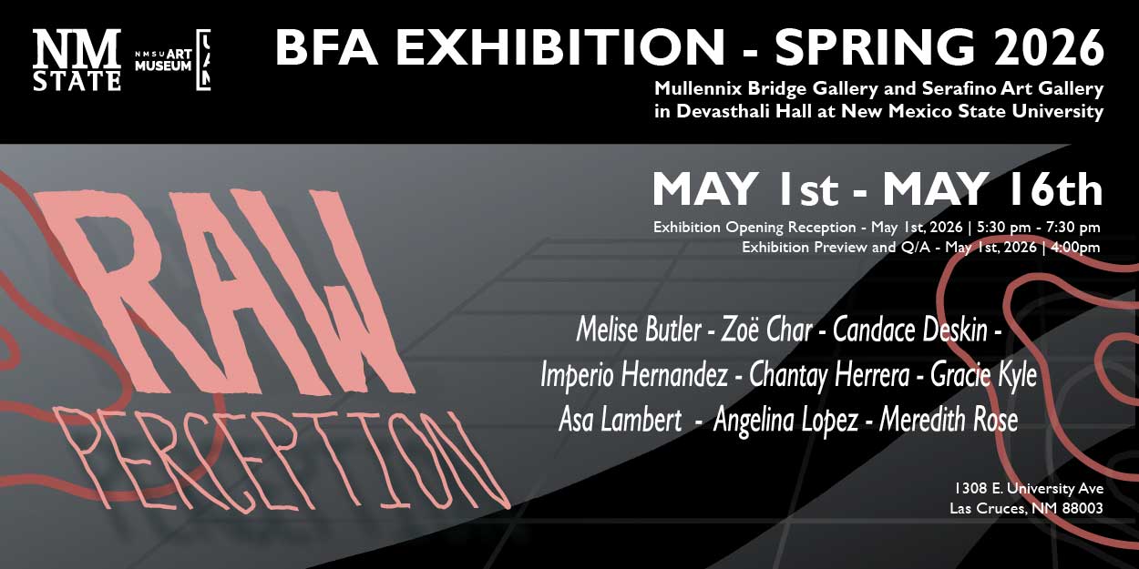 BFA exhibition Raw Perception